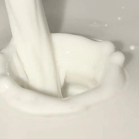 Ethylcellulose Aqueous Dispersion