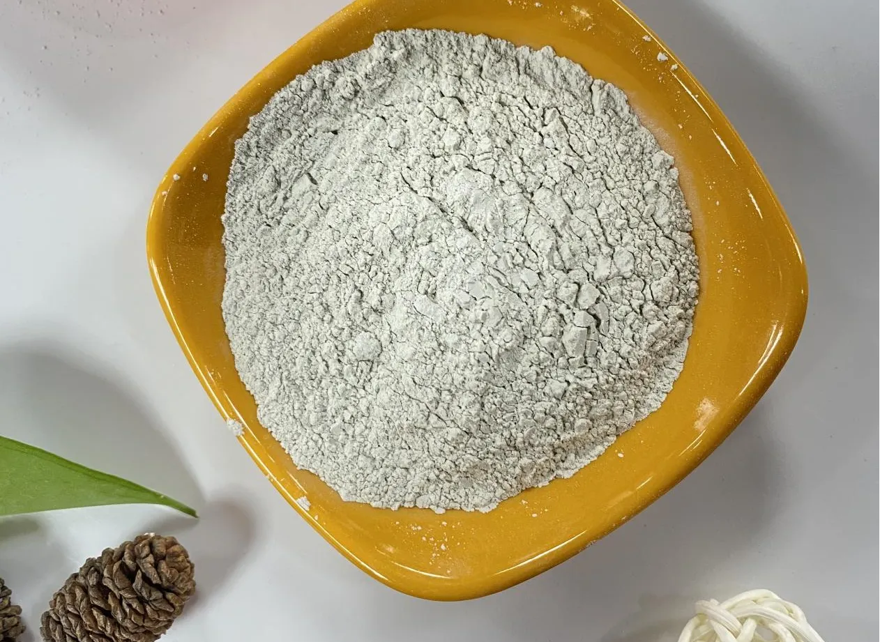 Understanding Gypsum Retarders and Accelerators: Enhancing Plaster Performance