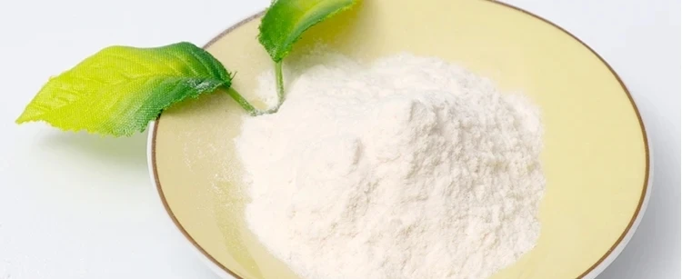 Understanding PVA and Its Role in Construction and Manufacturing 