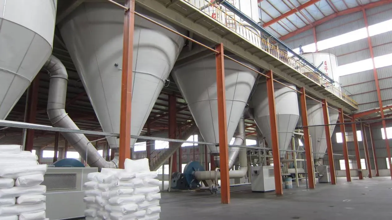 Innovative Polymers for Construction and Detergent Industries