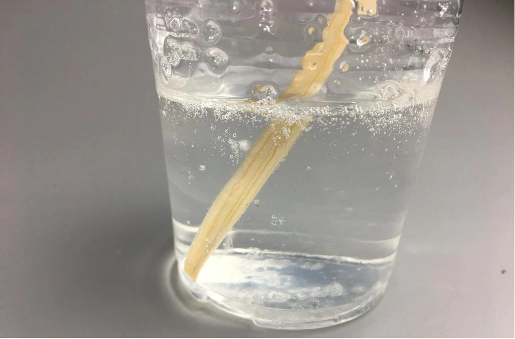How PVA and Polypropylene Enhance Modern Construction