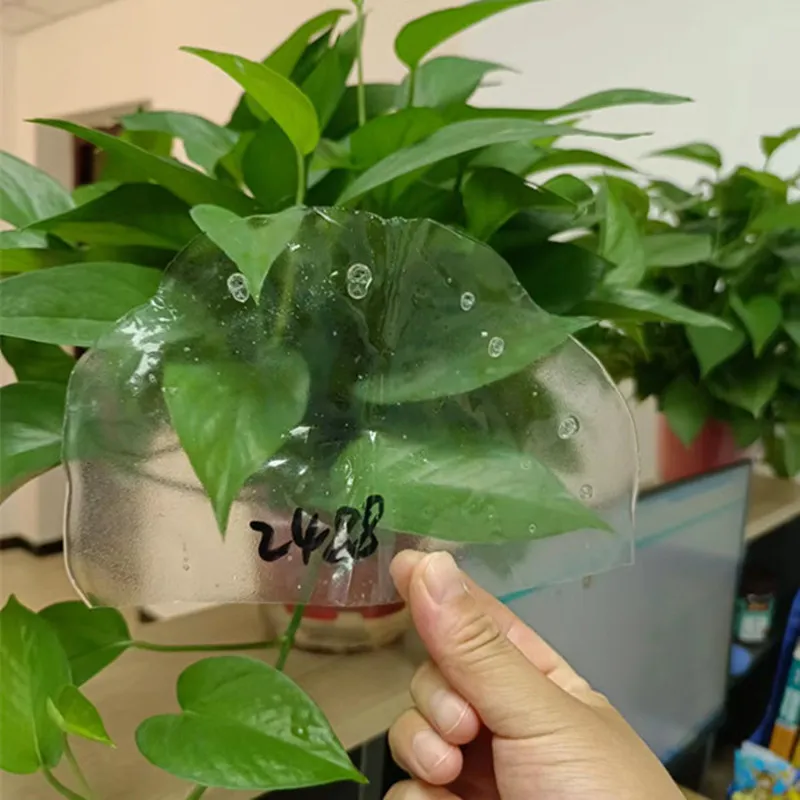 Understanding PVA: Types, Applications, and Innovations