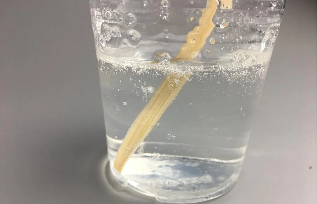 Enhancing Construction Efficiency with PVA: A Versatile Material for Modern Building Needs