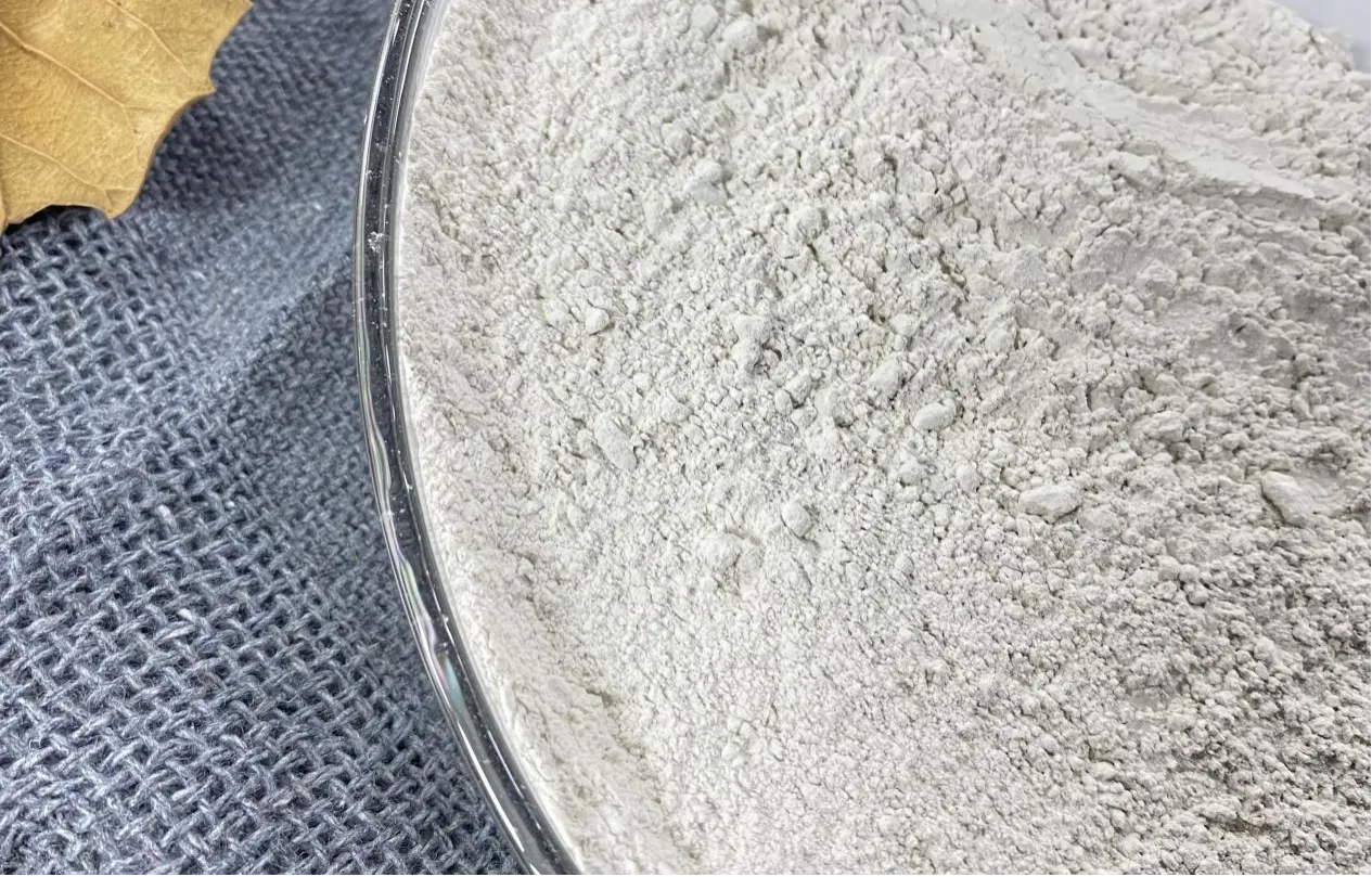 Understanding Gypsum Retarders and Accelerators: How to Control Setting Time in Plaster Applications