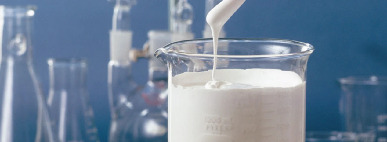 Understanding Redispersible Polymer Powder
