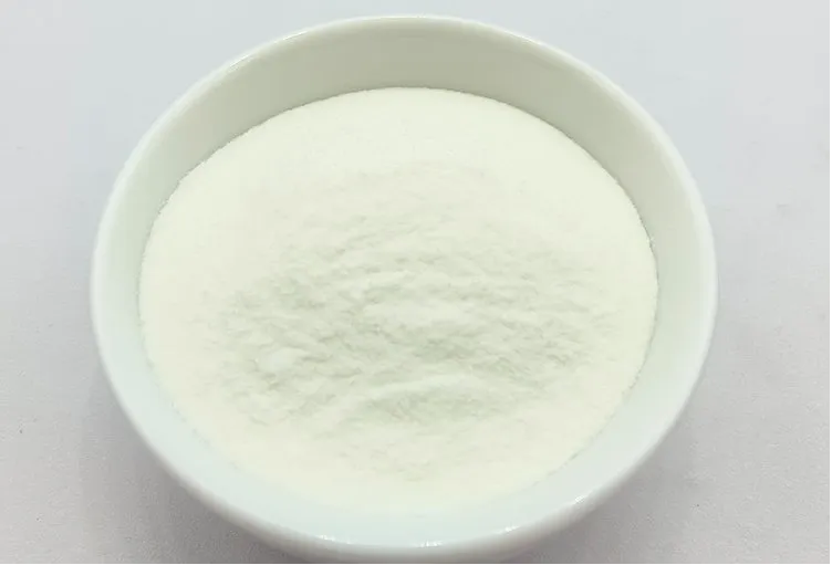 Understanding the Role of Redispersible Polymer Powder in Modern Construction