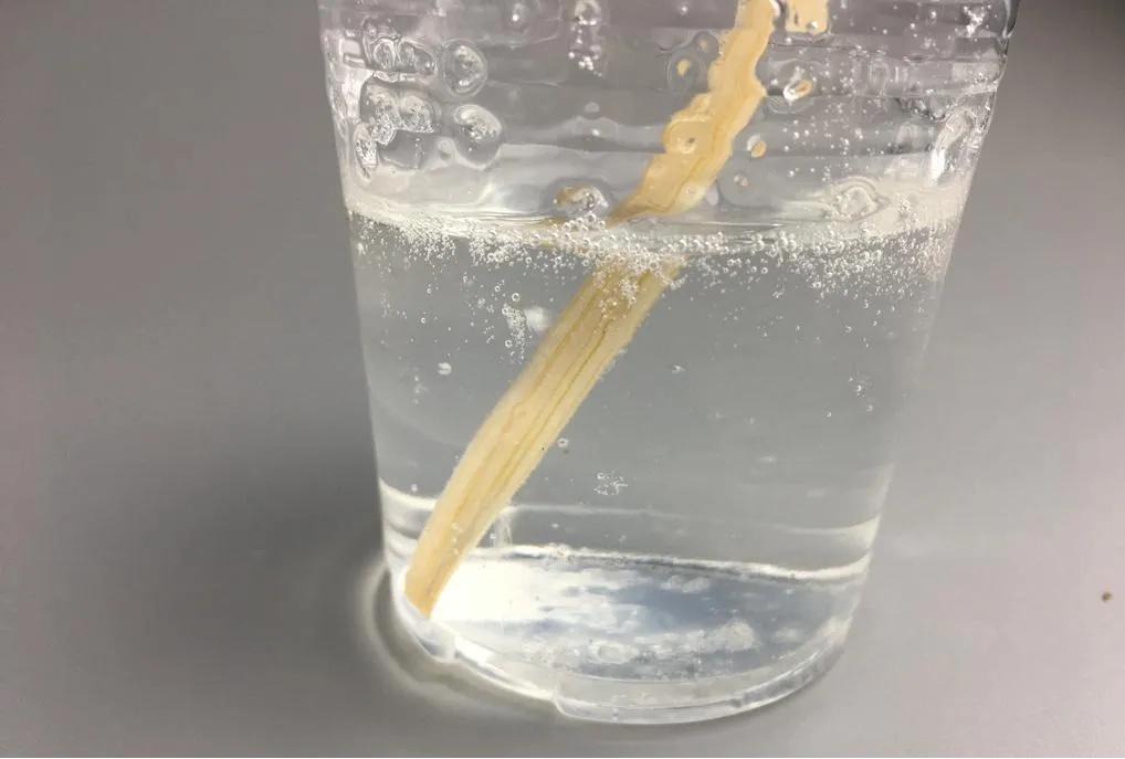 Polyvinyl Alcohol (PVA): Applications, Benefits, and Market Insights