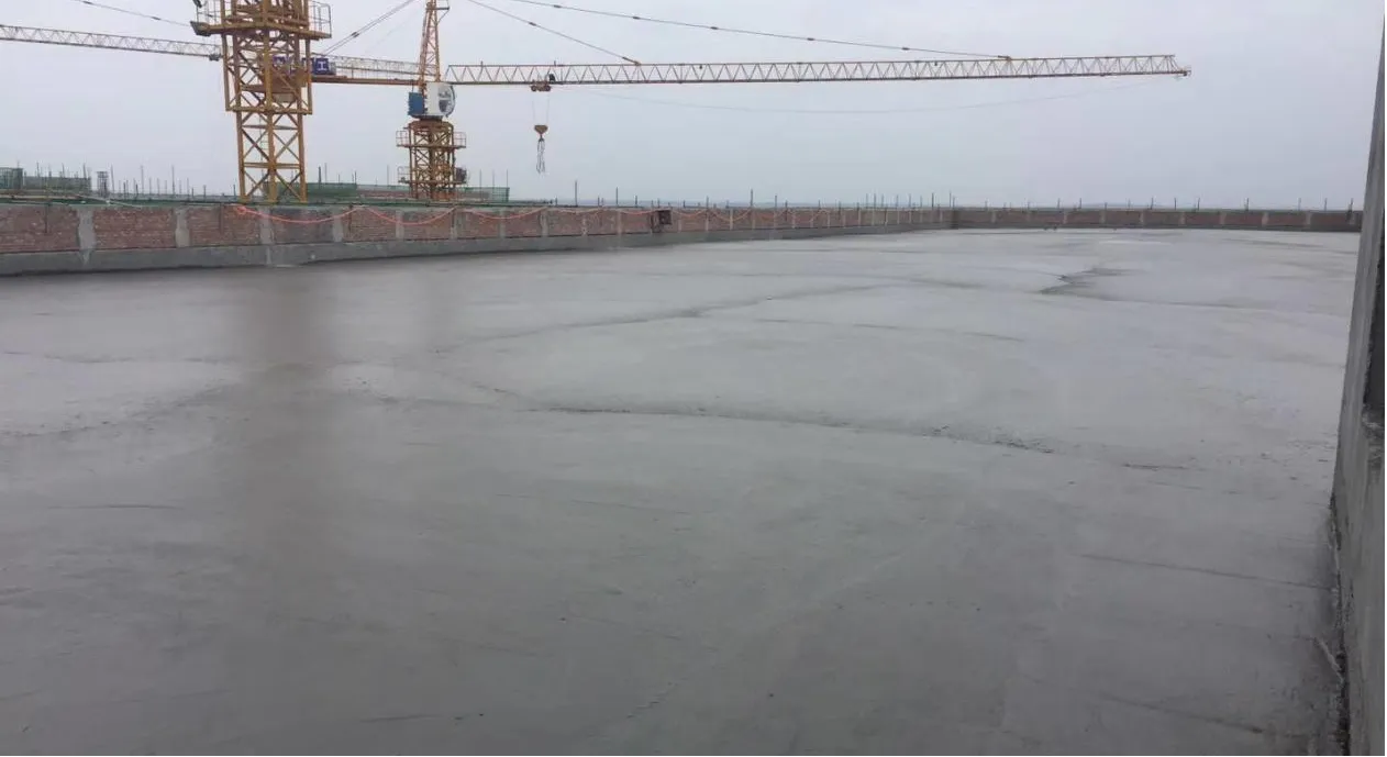 Wholesale Powder Water Reducing Admixture CP1000: High-Performance Concrete Solutions