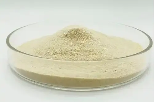 Cellulose Innovations Driving Modern Industry