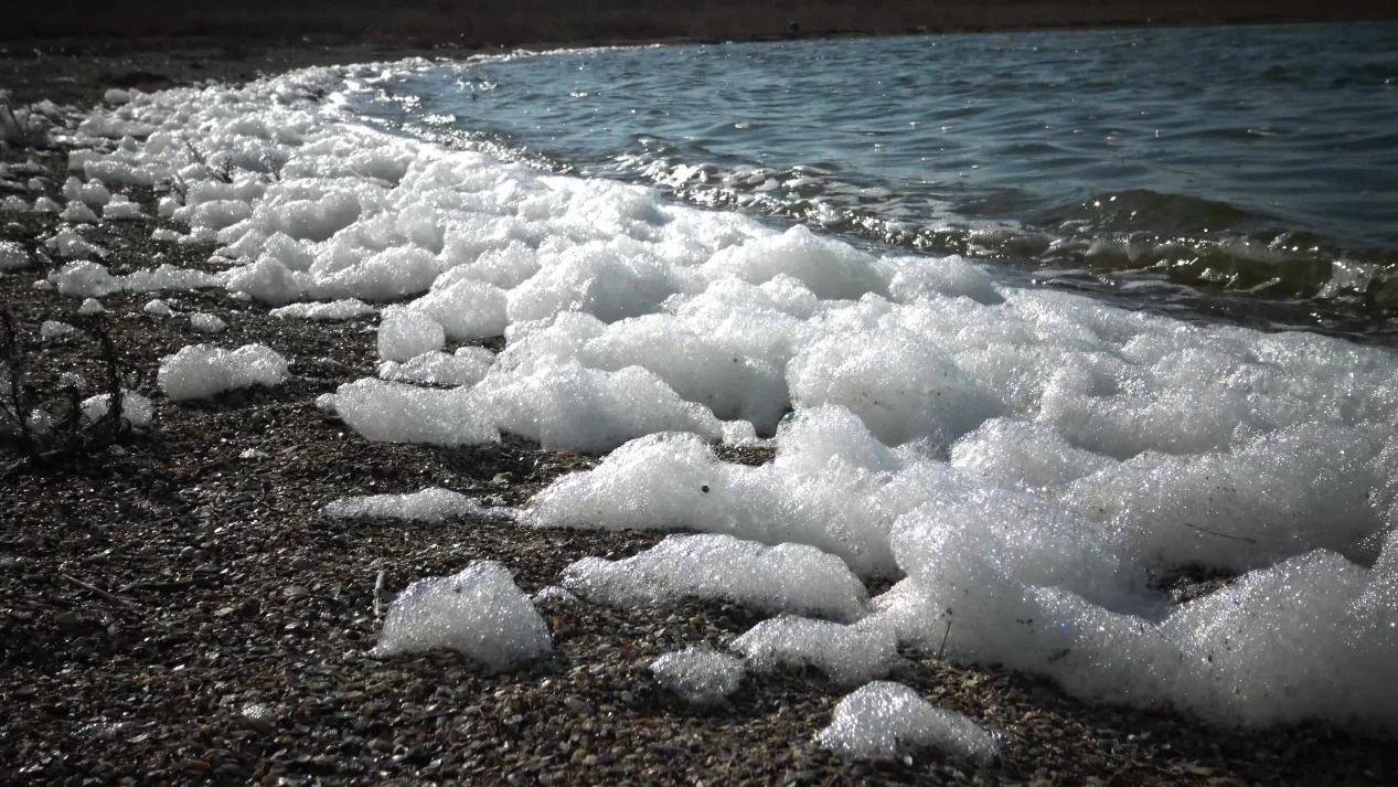 Understanding Antifoaming Agents: Types, Functions, and Practical Applications