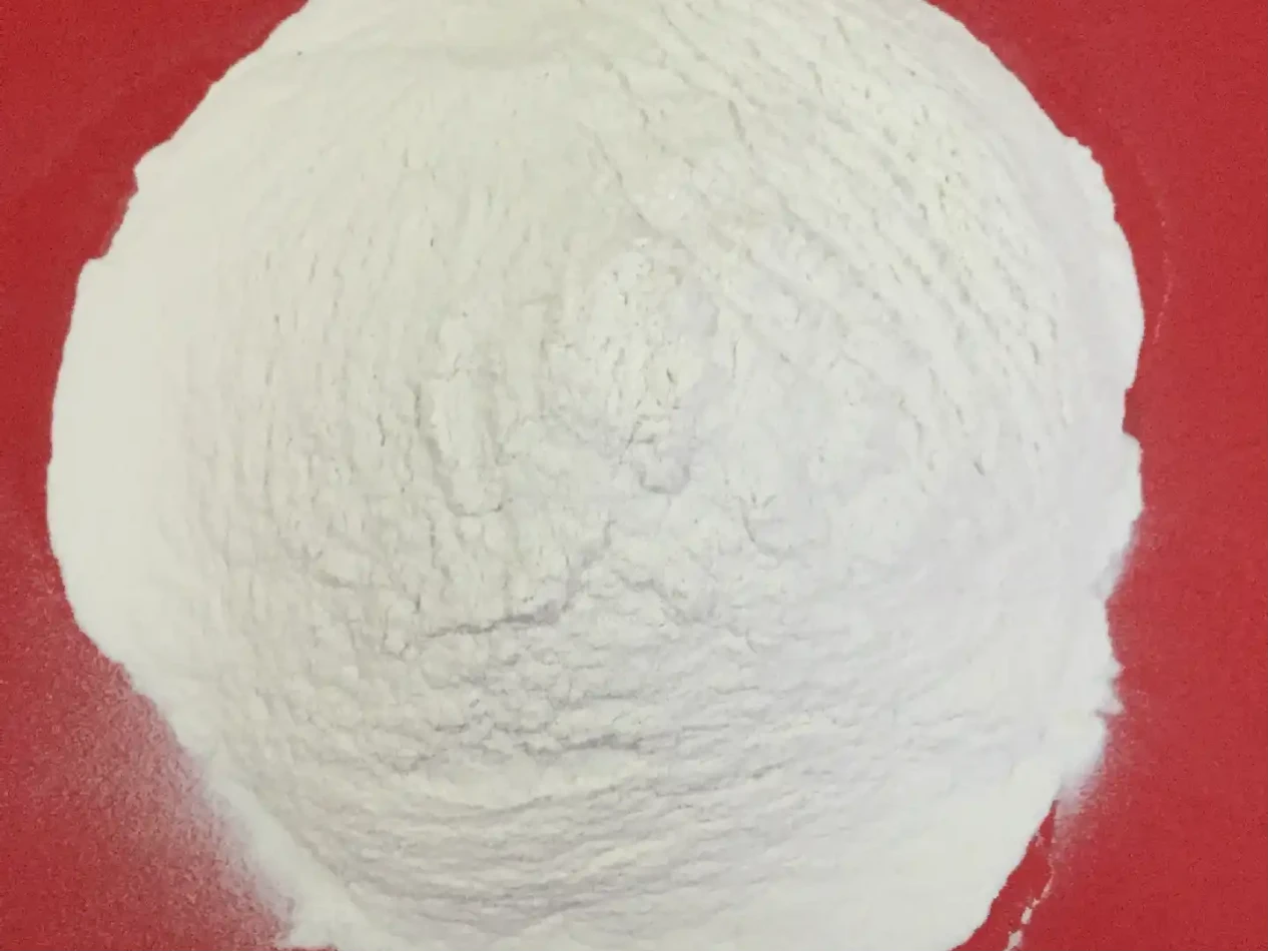 Understanding Cellulose Types and Their Diverse Applications Understanding Cellulose Types and Their Diverse Applications