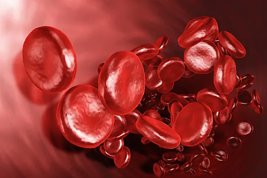 Innovative Applications of Modified Starches in Cosmetics and Medicine