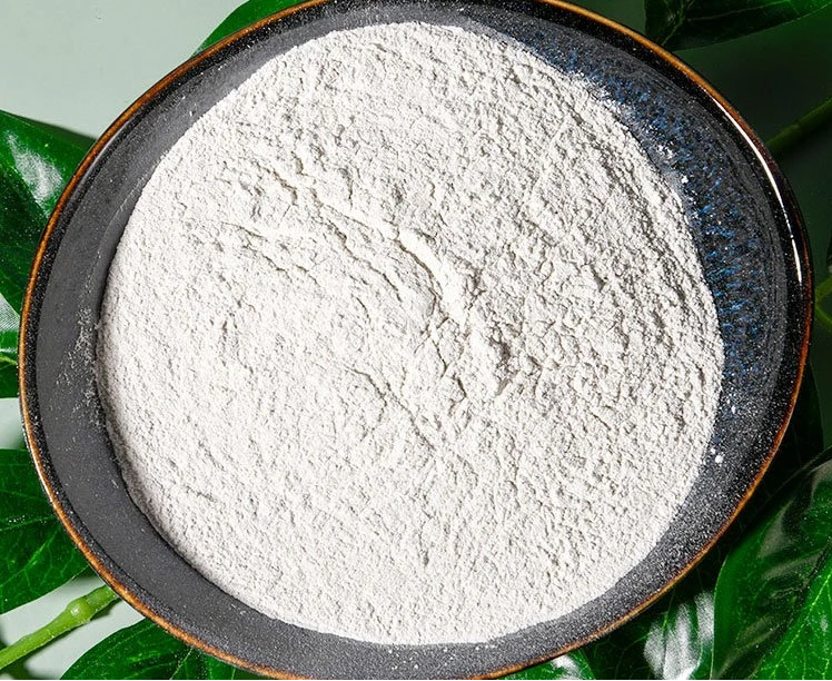 The Role of Retarders and Accelerators in Gypsum Plaster