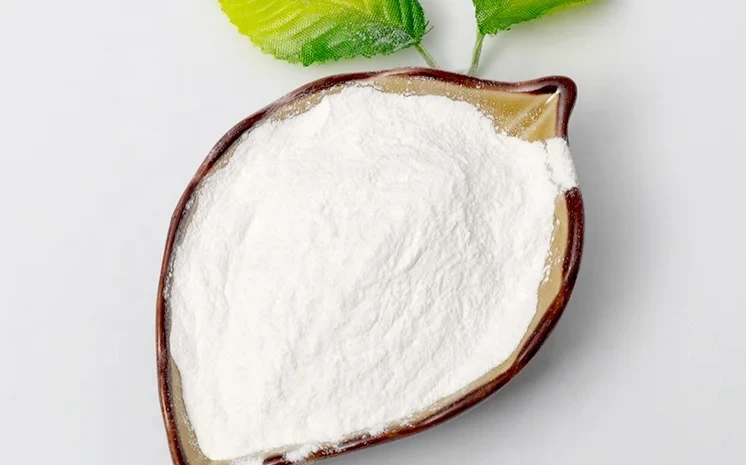 Exploring the Versatility of Modified Starches in Industry and Healthcare
