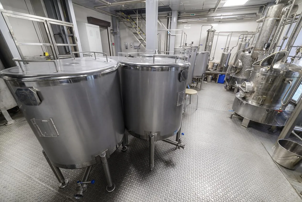 The Evolving Role of Modified Starches in Modern Industry