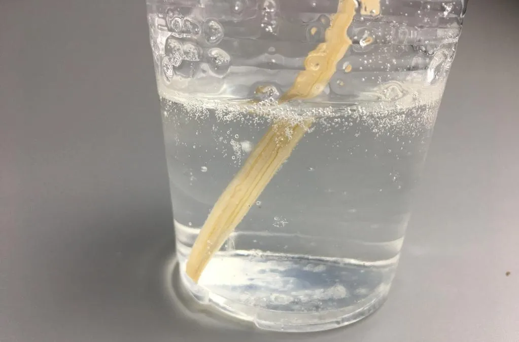 Understanding PVA and Its Role in Construction and Manufacturing 