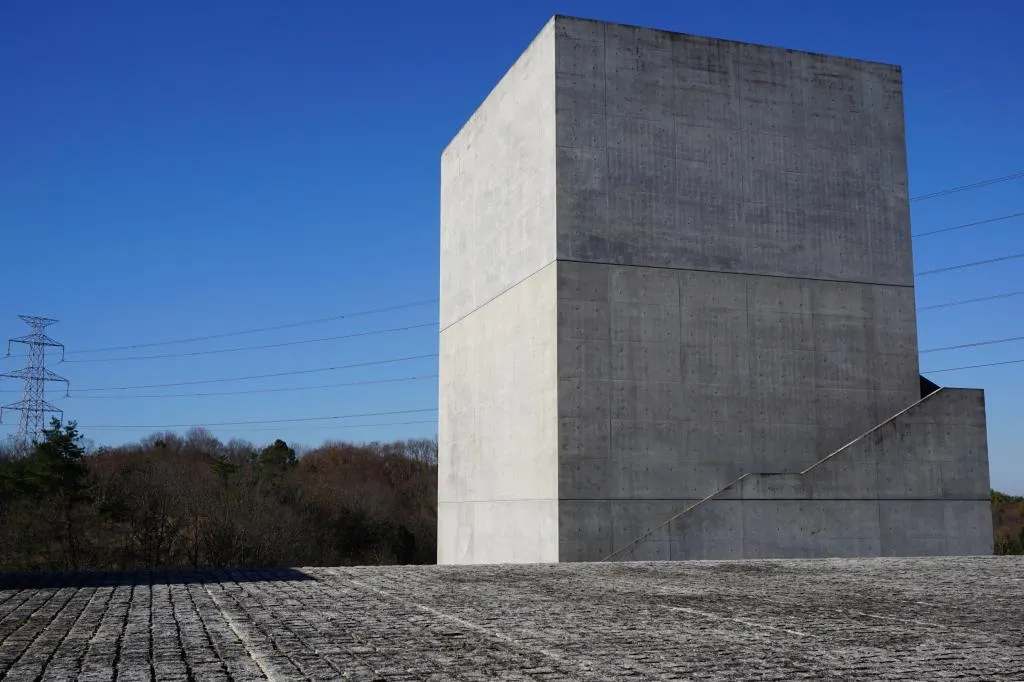 Polyvinyl Alcohol and Polypropylene Fibers: Essential Materials for Modern Construction
