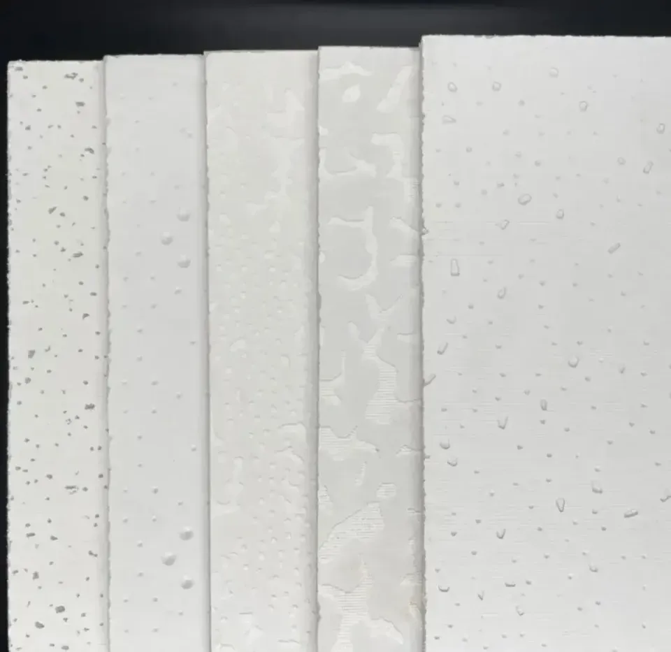 Controlling Gypsum Setting and Fire Resistance in Construction Controlling Gypsum Setting and Fire Resistance in Construction