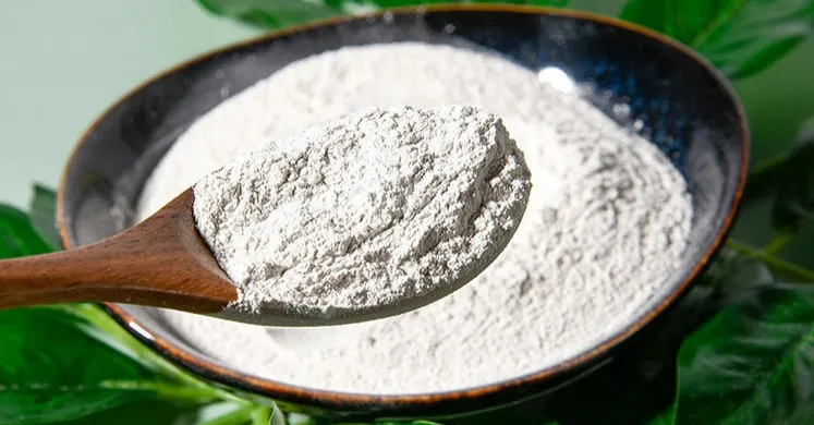 Understanding Gypsum Retarders and Accelerators in Plaster Applications