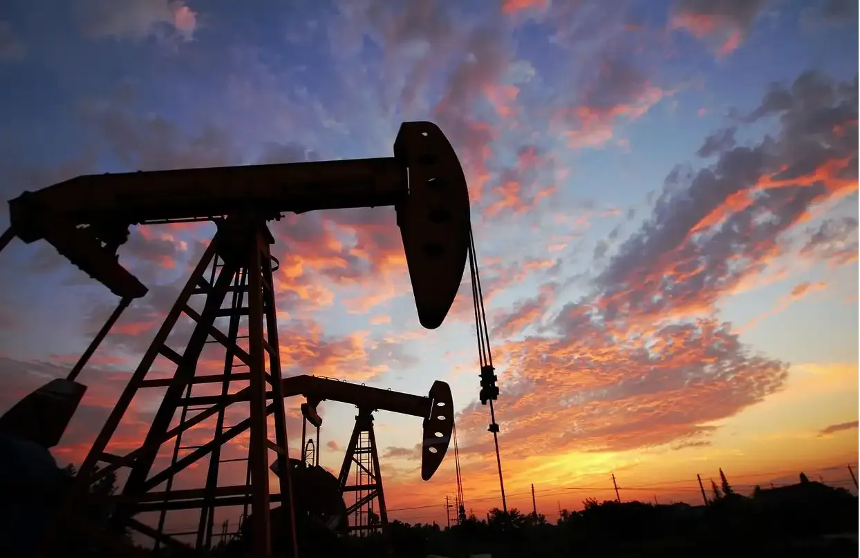 The Versatile World of Cellulose: From Food to Packaging