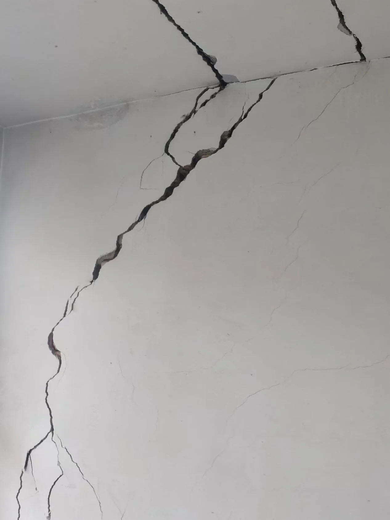 The Expanding Role of PVA and Fiber Additives in Construction and Coatings