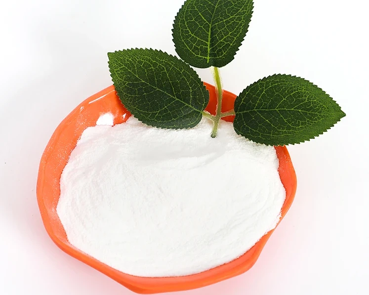 Exploring the Versatility and Market of Redispersible Polymer Powders