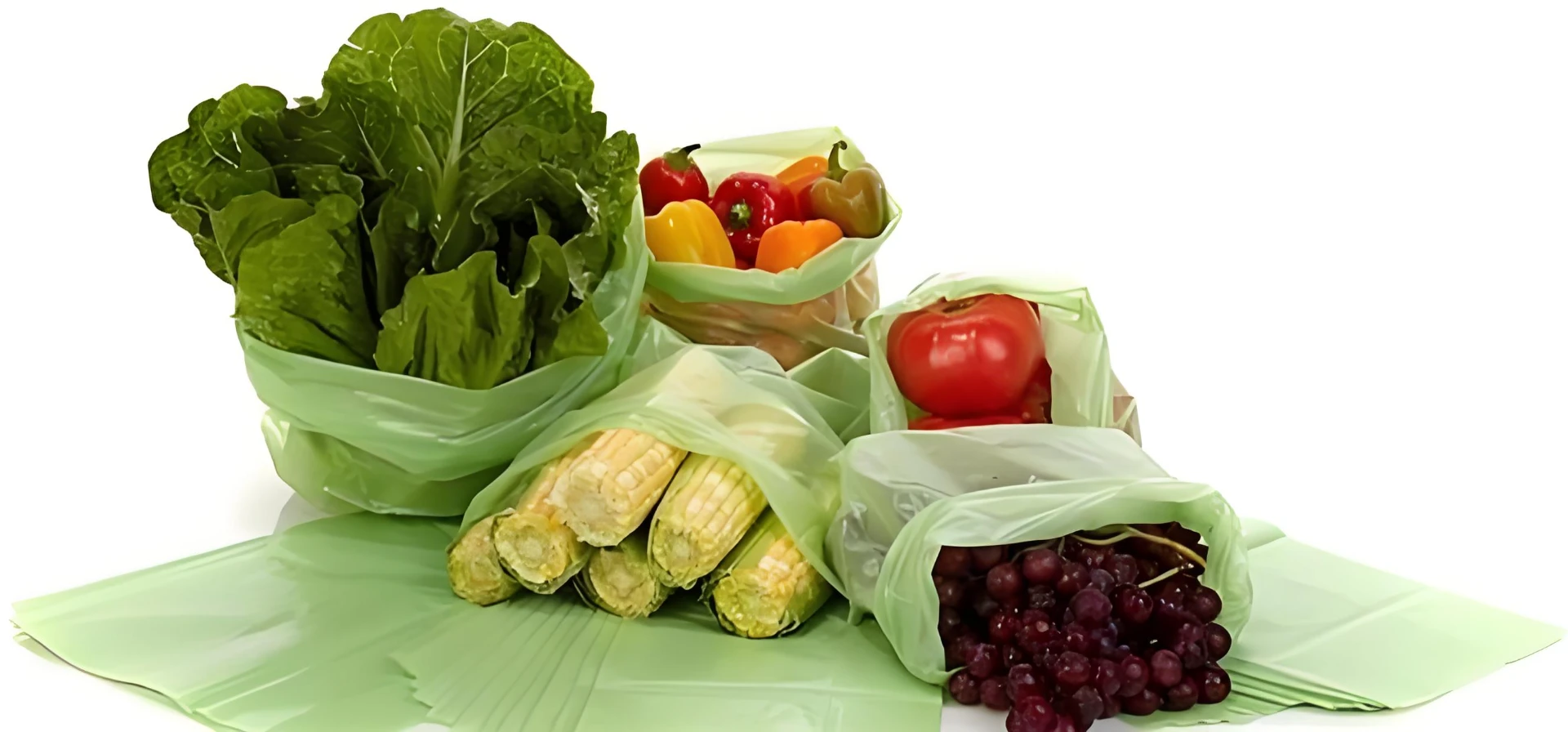 microfibrillated cellulose suppliers