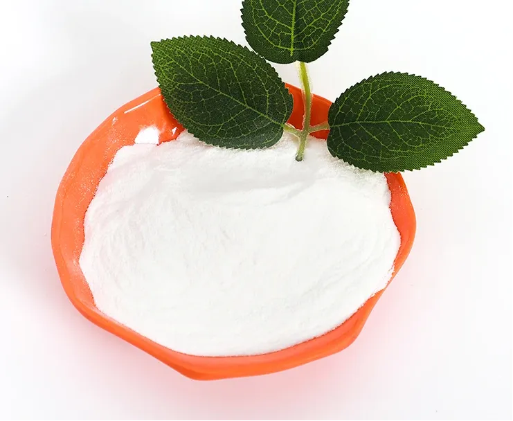 Understanding Redispersible Polymer Powder :Applications and Market Insights