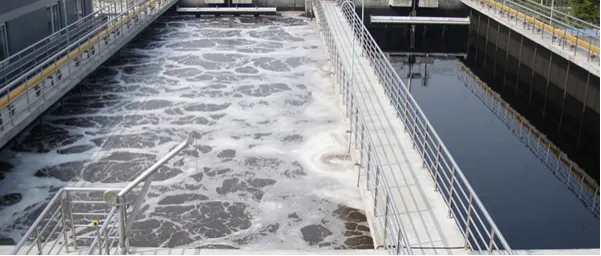 Comprehensive Guide to Wholesale Gypsum Set Retarder XYSJN1 and Anti Foaming Agents