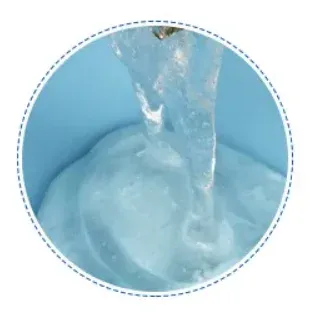 carbohydrates cellulose