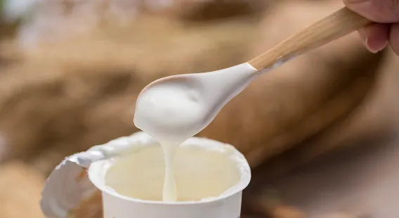 Exploring Cellulose: Types, Applications, and Industrial Uses