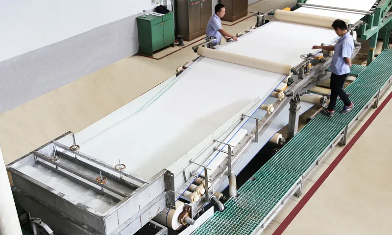 Exploring Cellulose: Types, Applications, and Industrial Uses