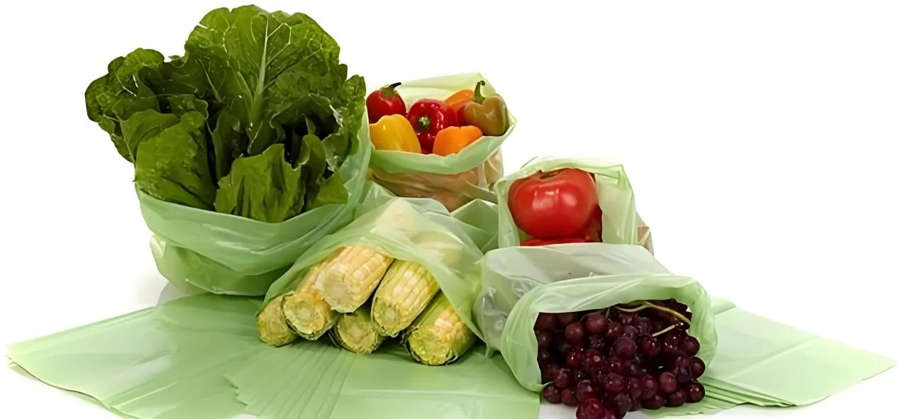 The Role of Cellulose in Modern Packaging and Industry